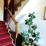 Paradiso Hotel